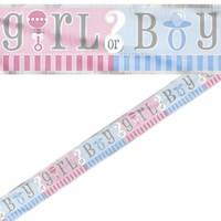 Gender Reveal Foil Party Banner