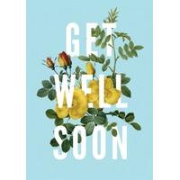 get well soon flowers get well soon card go1019scr