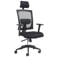 Gemini 200 Mesh Chair Dams Gemini 200 Mesh Chair with Adjustable Arms and Head Rest