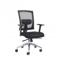 Gemini 300 series chair Adjustable arms
