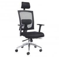 Gemini 300 series chair Adjustable armsheadrst