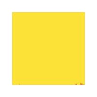 Georgian Oil Colour. Cadmium Yellow (Hue), 38ml. Each