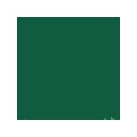 Georgian Oil Colour. Hooker\'s Green, 38ml. Each