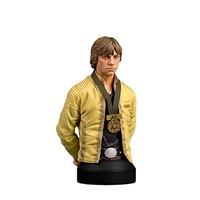 Gentle Giant Studios/Star War GG80462 Luke Skywalker Hero of Yavin Mini Bust Figure