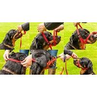 Gencon All in one Headcollar Lead Not Clip To Anti Stop Pull Soft Fits All Dog (Black, Left Handed)