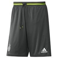 Germany Training Shorts Dk Grey