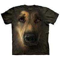 german shepherd portrait