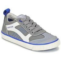 Geox J KIWI B. J boys\'s Children\'s Shoes (Trainers) in grey