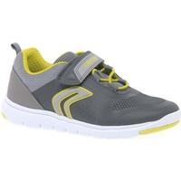 Geox Junior Xunday Boys 039; Sport Trainers boys\'s Children\'s Shoes (Trainers) in grey
