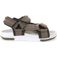 geox j7242b 000bc sandals kid brown boyss childrens sandals in brown