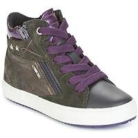 Geox J KALISPERA G.D girls\'s Children\'s Shoes (High-top Trainers) in grey