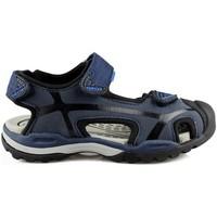 geox borealis boyss childrens sandals in blue