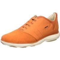 Geox U Nebula B (U52D7B) orange
