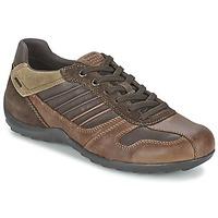 Geox PAVEL A men\'s Shoes (Trainers) in brown