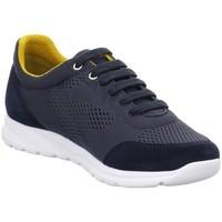 Geox MDAMIAN4 Low men\'s Shoes (Trainers) in Blue