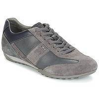Geox U WELLS men\'s Shoes (Trainers) in grey