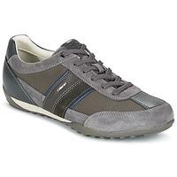 Geox WELLS men\'s Shoes (Trainers) in grey