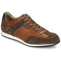 geox clemet mens shoes trainers in brown