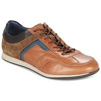 geox u clemet mens shoes trainers in brown