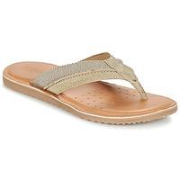 Geox U ARTIE B men\'s Flip flops / Sandals (Shoes) in brown