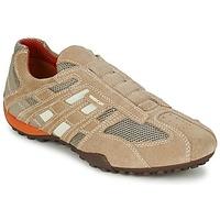 Geox SNAKE men\'s Shoes (Trainers) in BEIGE