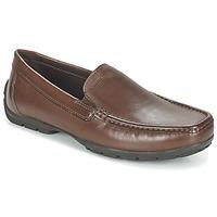 Geox MONET W 2FIT C men\'s Loafers / Casual Shoes in brown