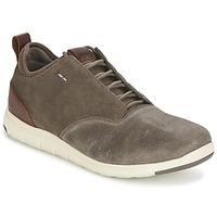 geox xunday 2fit mens shoes trainers in brown