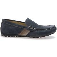 Geox U1107U 00022 Mocassins Man Blue men\'s Loafers / Casual Shoes in blue