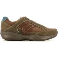 geox u52y9d 02243 shoes with laces man mens shoes trainers in brown