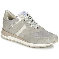 Geox SHAHIRA A women\'s Shoes (Trainers) in grey