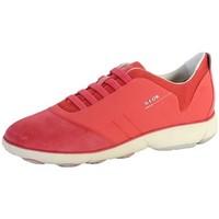 Geox Sneakerss Nebula Corail women\'s Shoes (Trainers) in orange