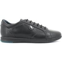 geox d44h5b 00043 sneakers women black womens shoes trainers in black