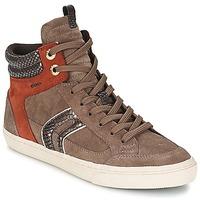 Geox NEW CLUB A women\'s Shoes (High-top Trainers) in brown