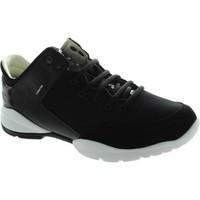 Geox D Sfinge A women\'s Shoes (Trainers) in black