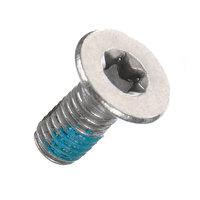 Ghost AMR Chainstay Rear Screw Torx