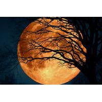 Ghost Hauntings Tour of Savannah