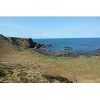 Giants Causeway Tour from Derry/Londonderry