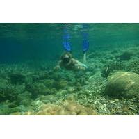 gili island snorkeling day trip