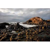 giants causeway tour from belfast