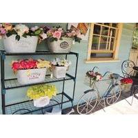 Girls\' Shopping Weekend in Tilba