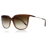 giorgio armani 8080 sunglasses brown marble 548813 58mm