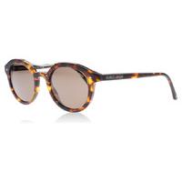 Giorgio Armani 8007 Sunglasses Tortoise Shell 501153