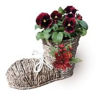 Gift Boot Planter with Red Pansies