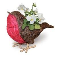 gift robin planter with white pansies