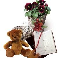 gift boot planter with red pansies diary and teddy