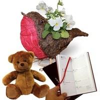 Gift Robin Planter with White Pansies, Letts Diary and Teddy Bear