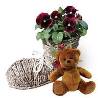 gift boot planter with red pansies and teddy