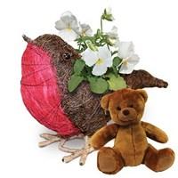 Gift Robin Planter with White Pansies & Teddy Bear