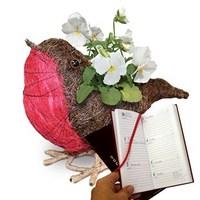 Gift Robin Planter with White Pansies & Diary