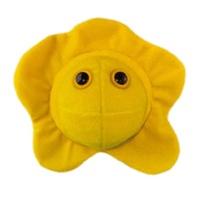 GiantMicrobes Herpes